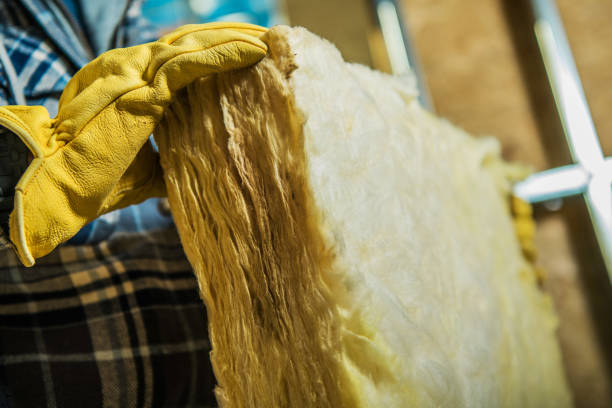 Best DIY Insulation Kits and Guidance in Cambridge City, IN